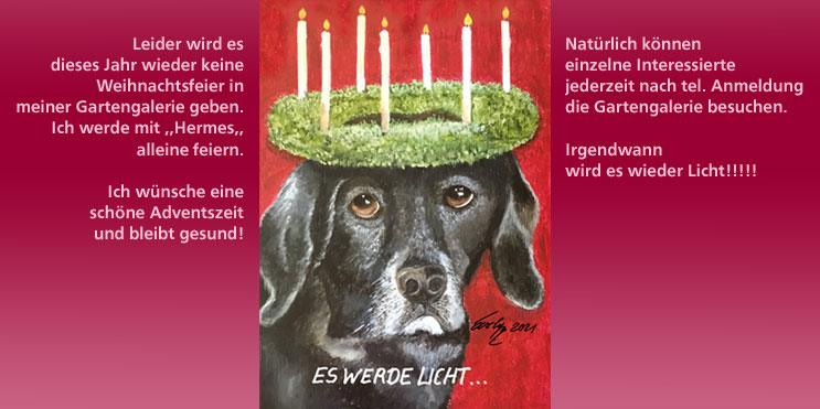evelyn fleig es werde licht