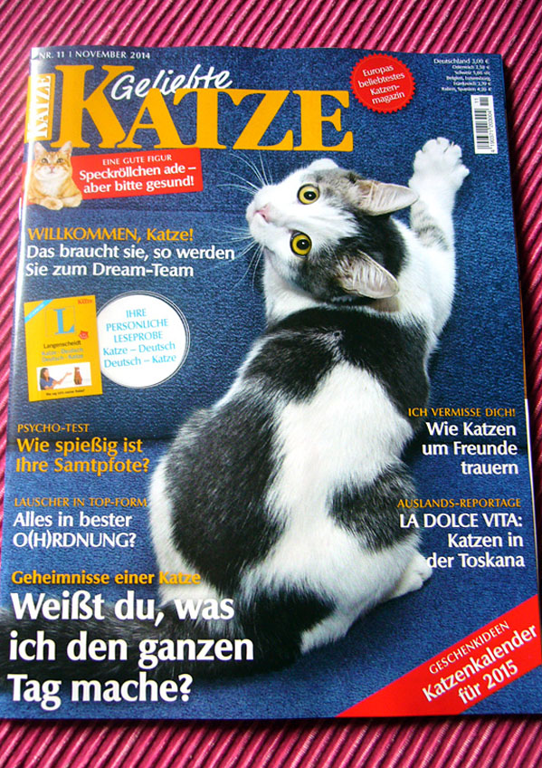 evelyn fleig geliebte katze artikel 2014 01