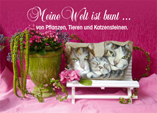 evelyn fleig katzenbuch kleines foto vom titel