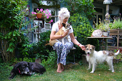 evelyn fleig hunde- und katzensteine rudi 2013