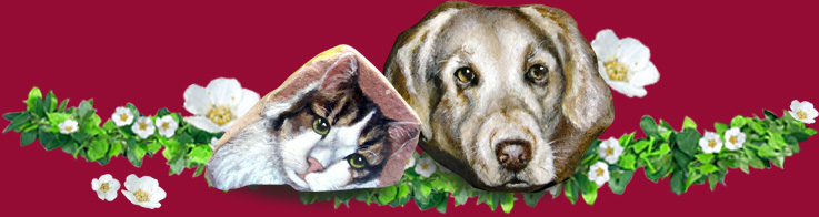 evelyn fleig hundesteine profil emotion foto