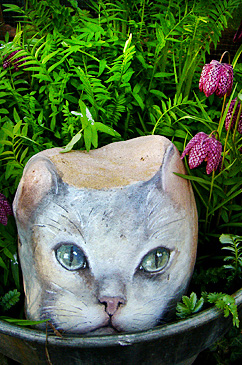 evelyns katzensteine gartengalerie 37