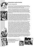 Text Katzensteine Karrierre 2007